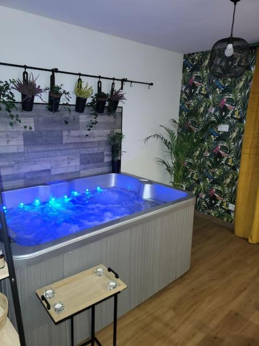 Fotografie z fotogalerie ubytování Cosy Corner - Appartement spa - Jacuzzi v destinaci Marsannay-la-Cote