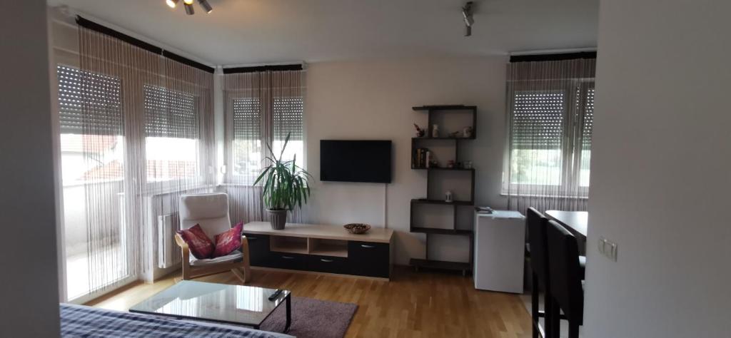 a living room with a couch and a tv at Apartment Daphnia in Zagreb