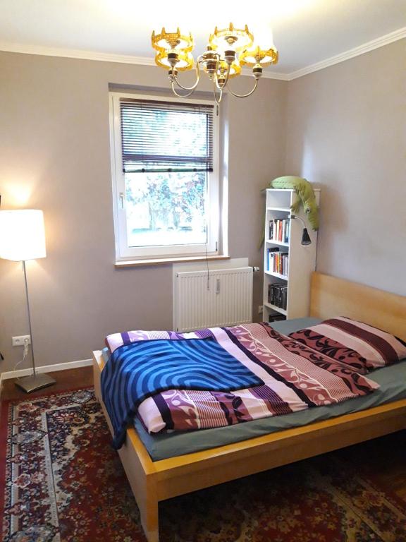 a bedroom with a bed and a window at Die kleine Wohnung in Droyßig