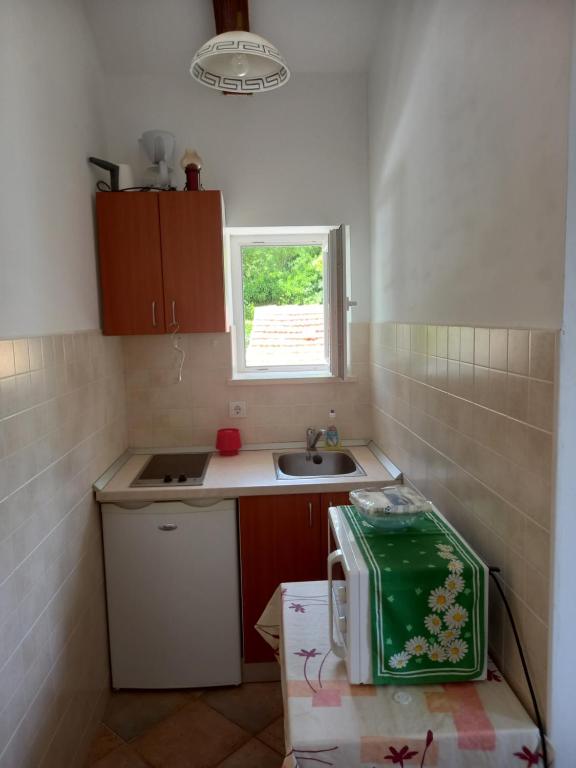 Kuchyň nebo kuchyňský kout v ubytování Villa Sea Dream Koločep