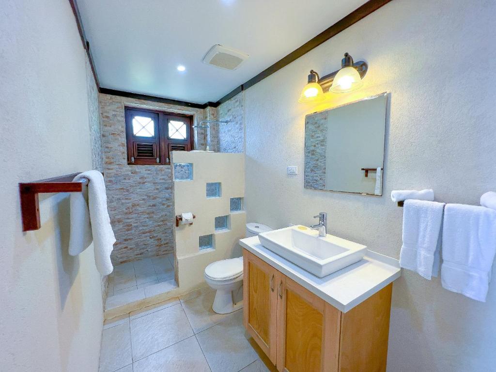 a bathroom with a sink and a toilet and a mirror at Santosha Barbados in Saint Andrew