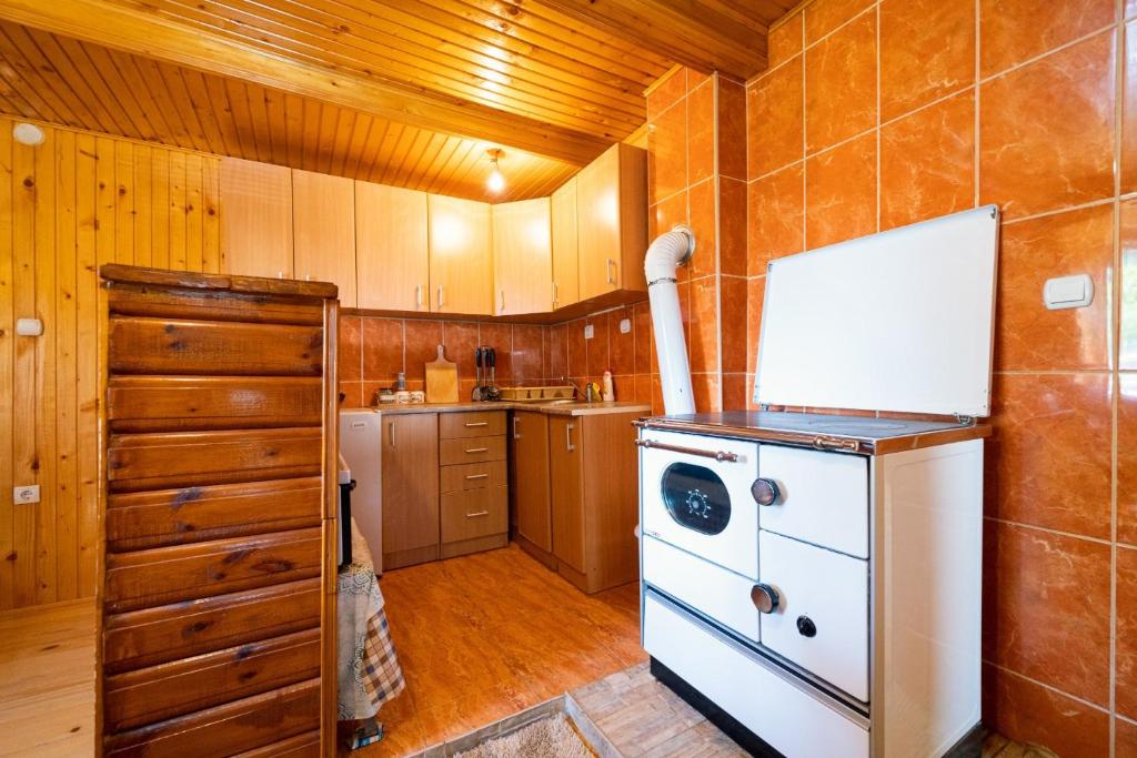 Kuchyň nebo kuchyňský kout v ubytování Apartment Dobre Vode