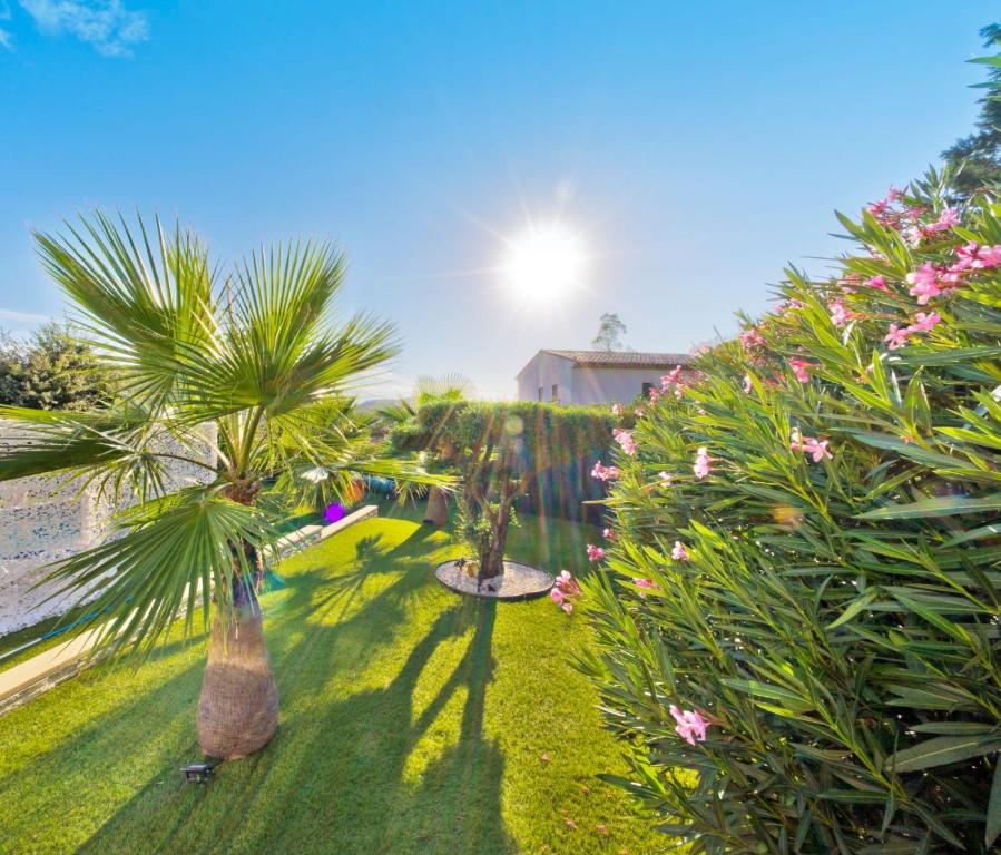 a garden with palm trees and flowers on the grass at Appartement Villa Quietude in Bagnols-en-Forêt