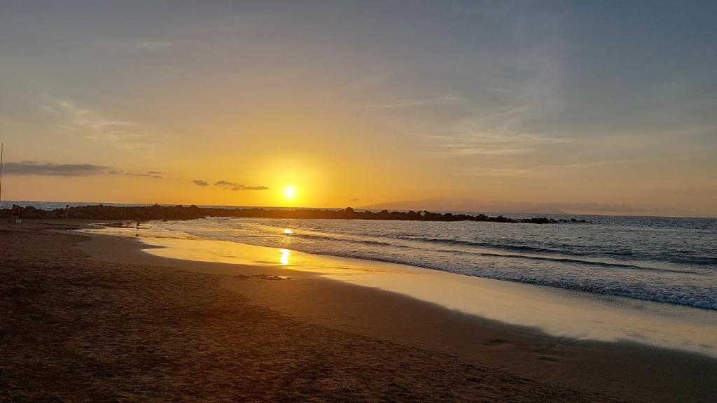 Naturlandskabet i nærheden af lejligheden