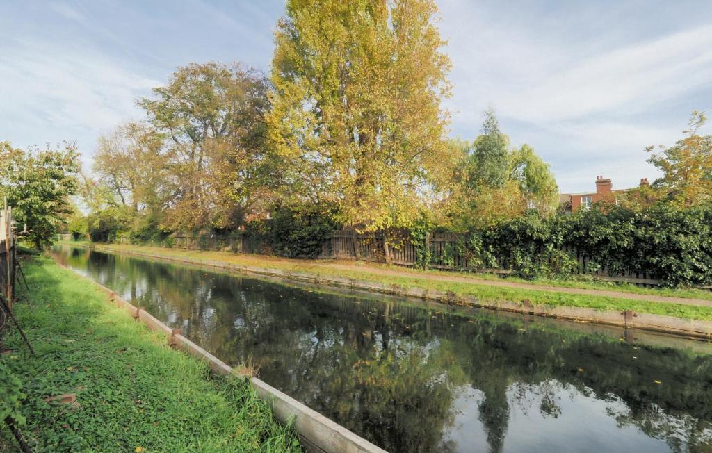 a river with trees and grass on the side at Stunning, large 1 bed riverside flat in London