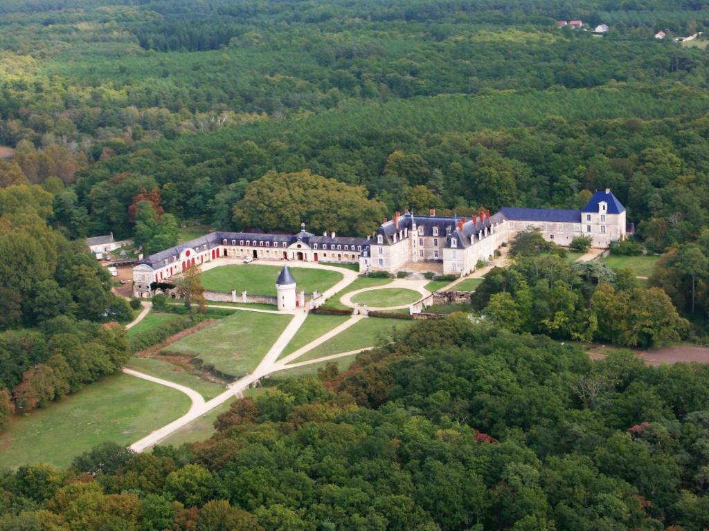 widok z powietrza na rezydencję w lesie w obiekcie Chambres d'hôtes au Château de Gizeux w mieście Gizeux