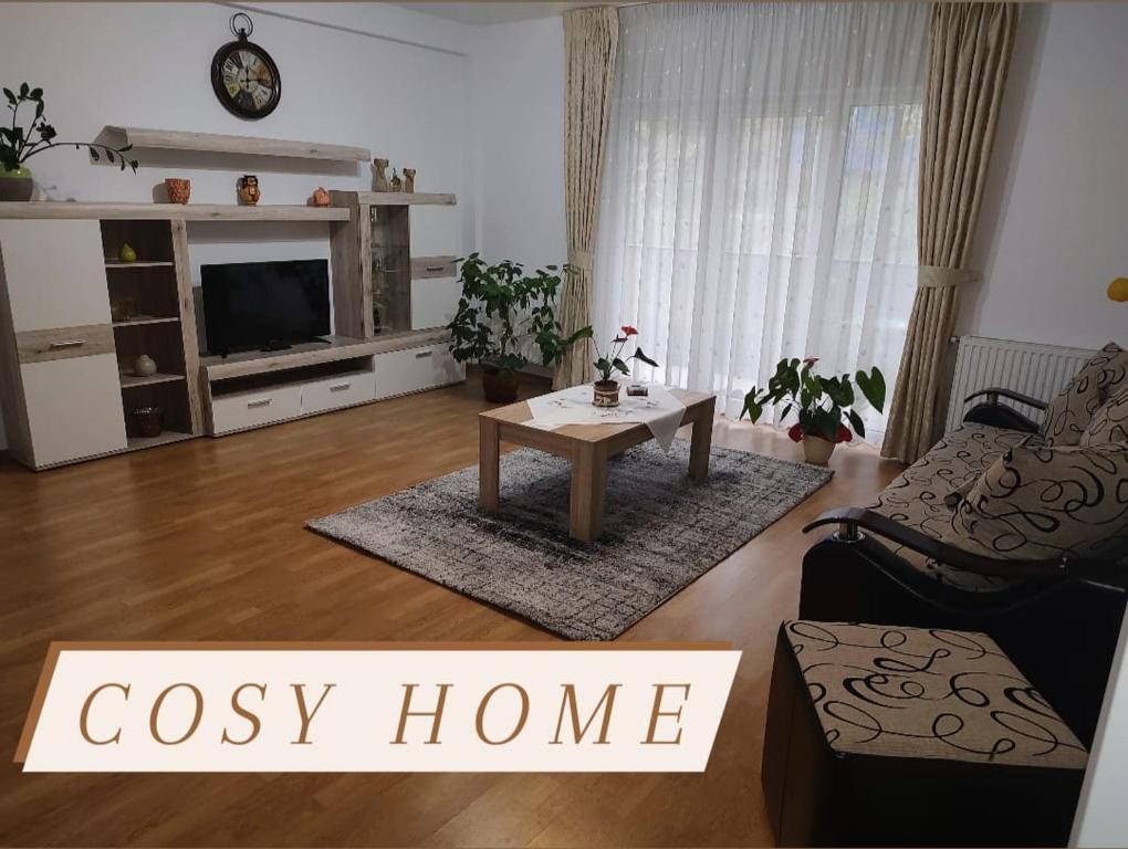 a living room with a tv and a coffee table at Cosy apartment I in Târgu-Mureş