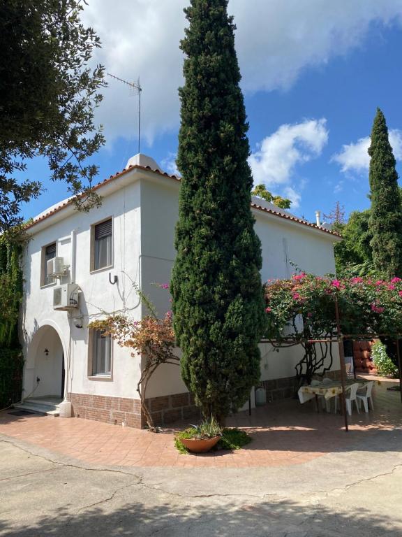 dom z dużym drzewem przed nim w obiekcie Villa Marie Claire w mieście Ischia