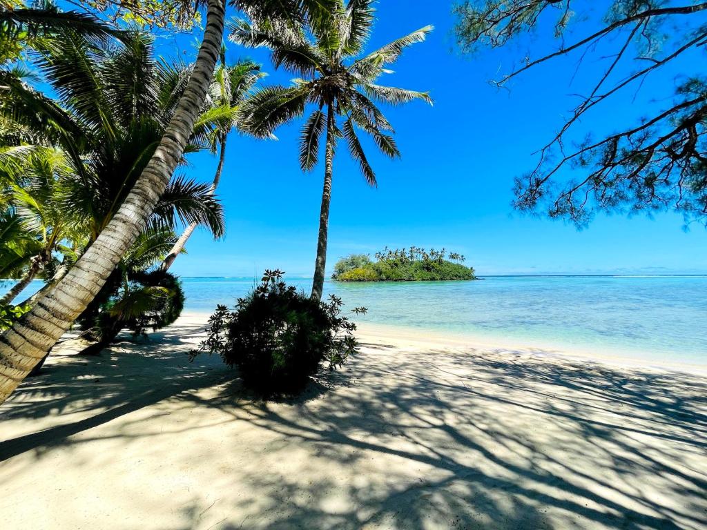 a beach with two palm trees and the ocean at Muri Beachside Villa with pool in Rarotonga