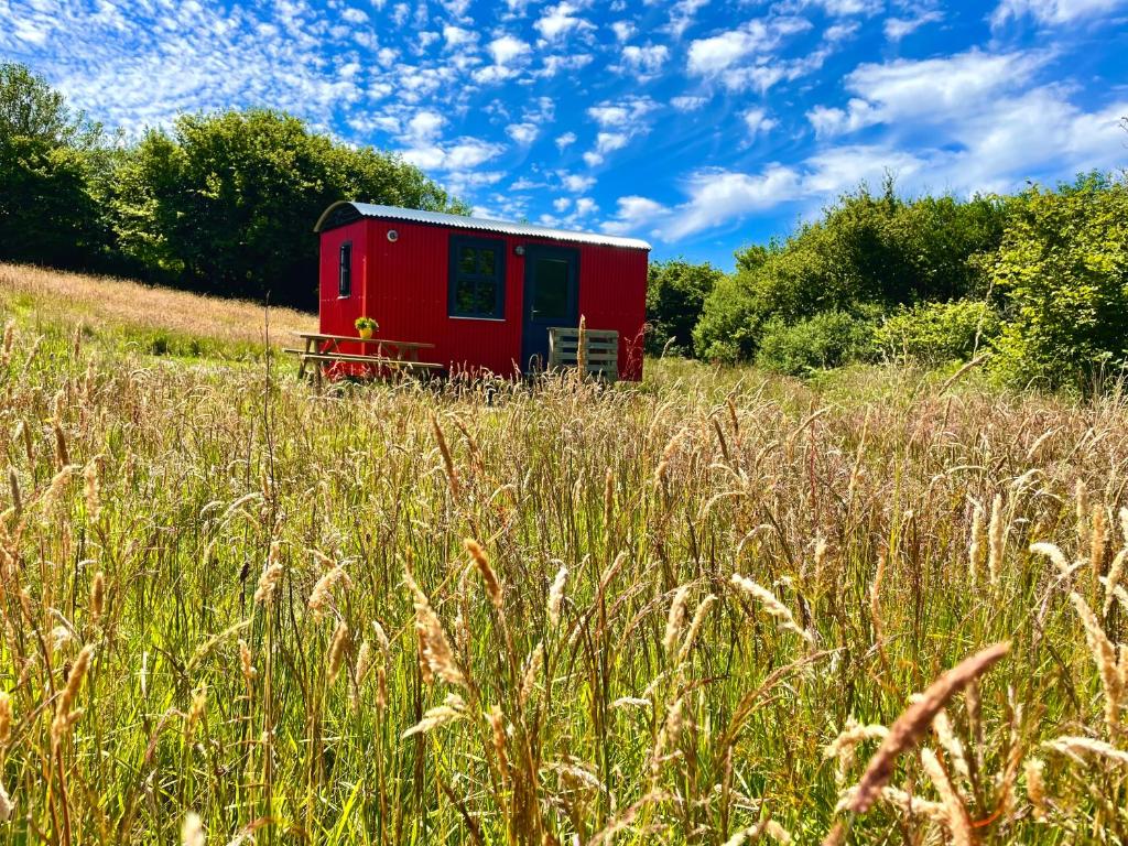 班特里的住宿－Shepherds Hut Glamping，坐在高大的草场上的红色棚子