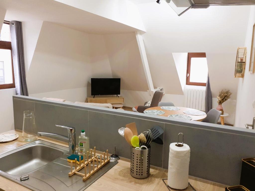 eine Küche mit einem Waschbecken und ein Wohnzimmer in der Unterkunft Appartement 48m² / HyperCentre (Gares et Vieux Lille) in Lille