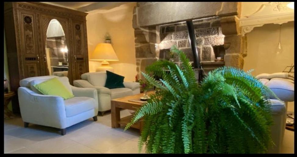 ein Wohnzimmer mit 2 Stühlen und einer Pflanze in der Unterkunft Hameau de Leignoua in Le Saint