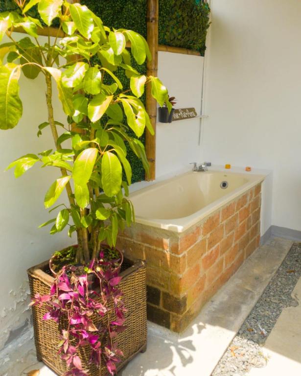 a bathroom with a bath tub and a plant at Kimaná Hostal in Santa Rosa de Cabal