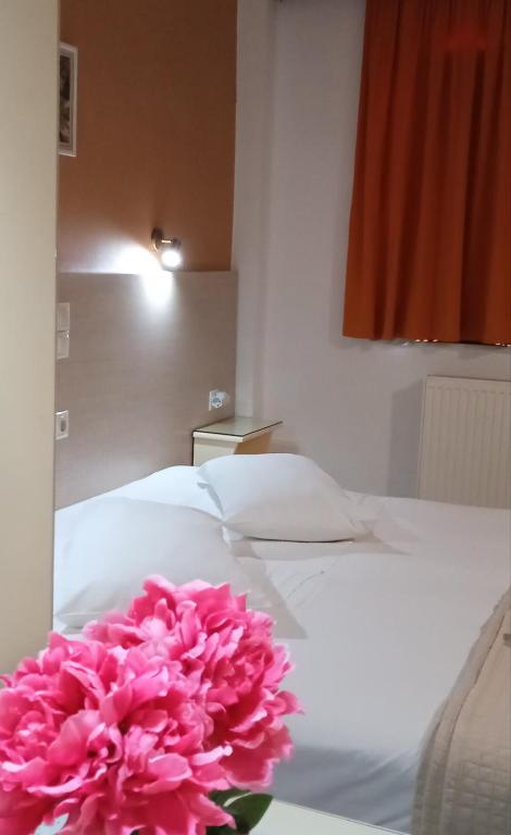 Ilona Apartments Chania - 3