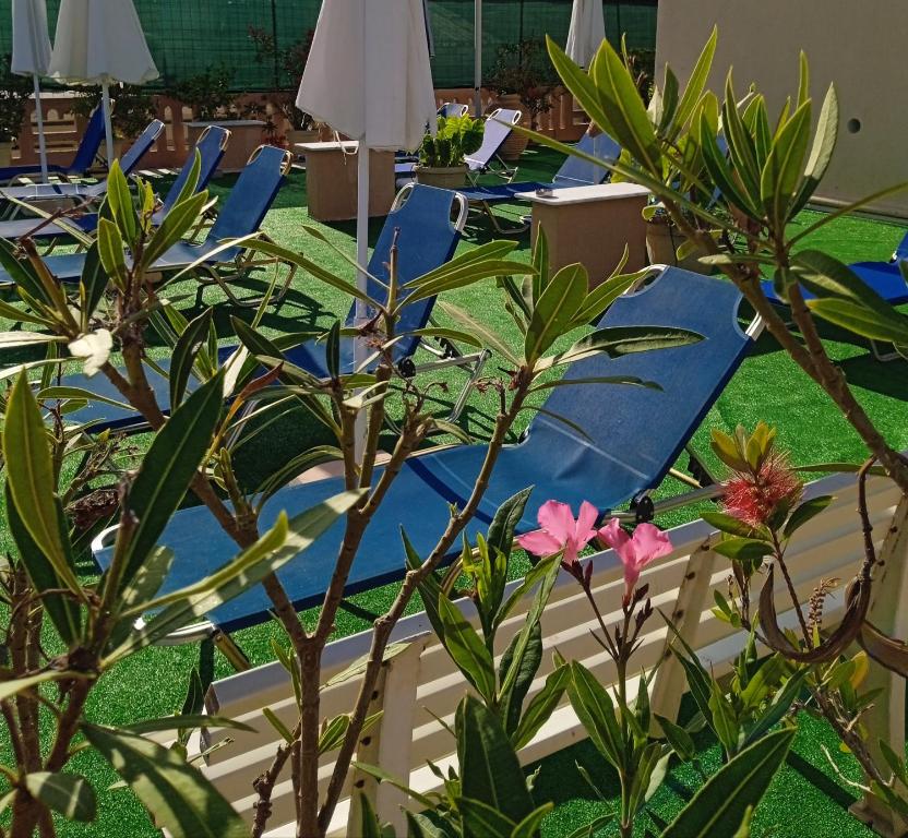 Ilona Apartments Chania - 17