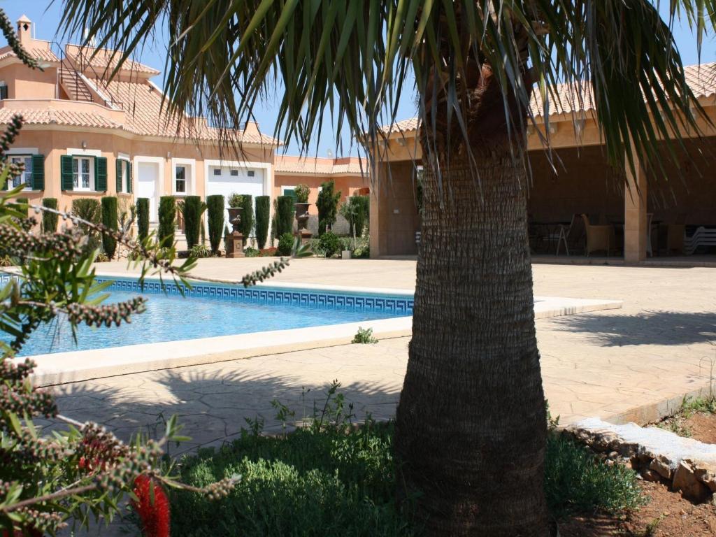 una palmera frente a una casa con piscina en Sa Rapita Es-Trenc Ferienhäuser, en Sa Ràpita