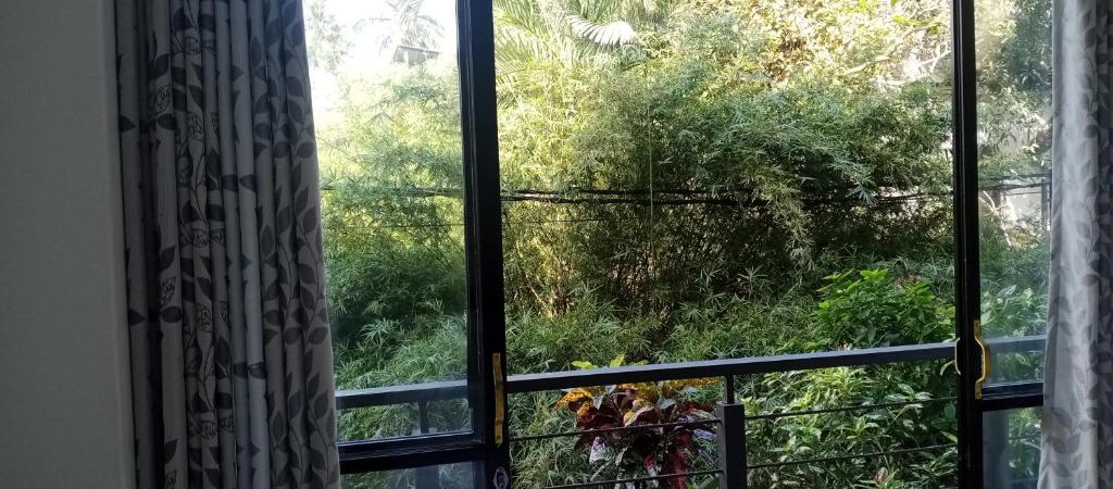 Zahrada ubytování Manidi Villa