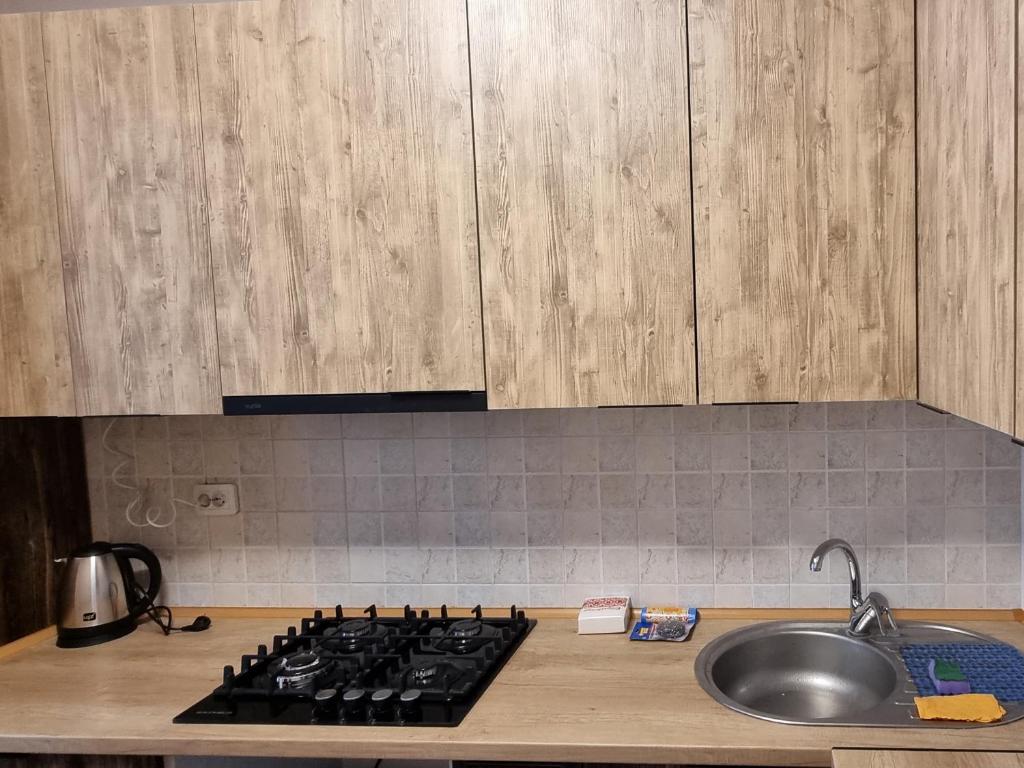 Kuchyň nebo kuchyňský kout v ubytování Затишна квартира в центрі міста