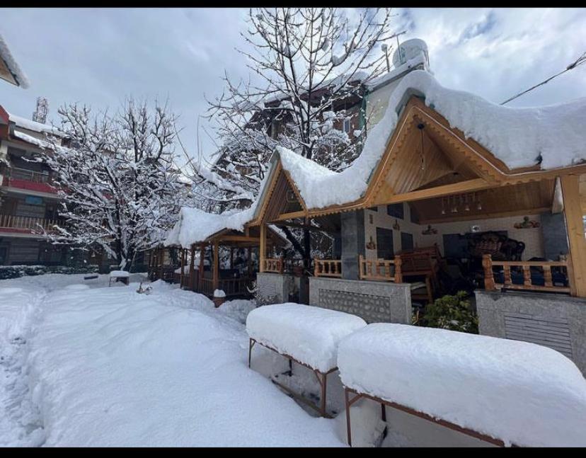 Purnima Little Italy зимой