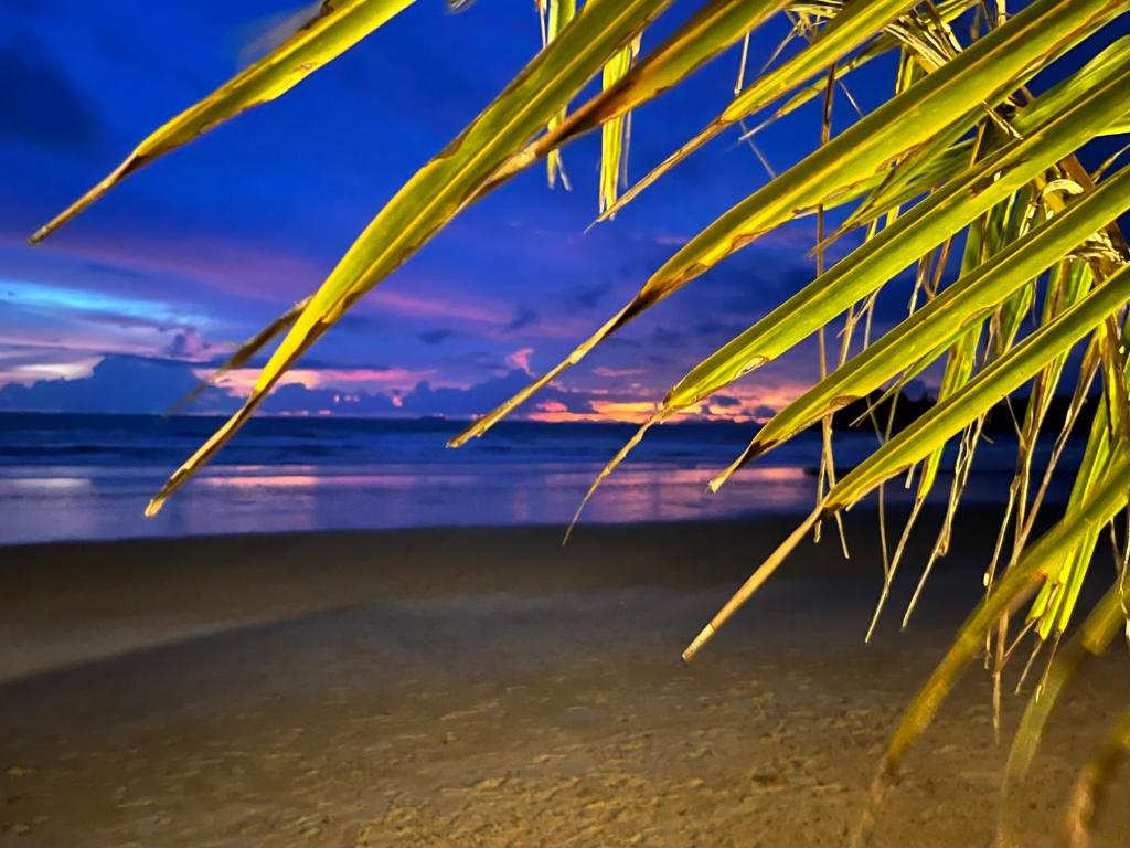 Noble House Beach Resort - 7