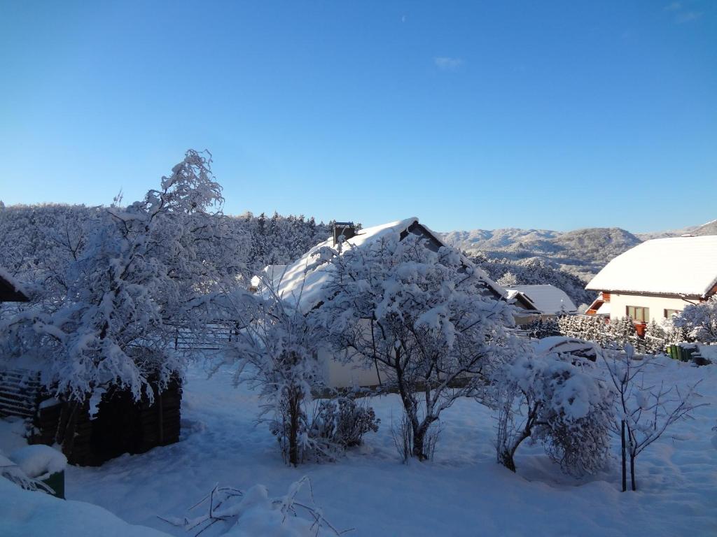 Apartments Fine Stay Slovenia v zimě