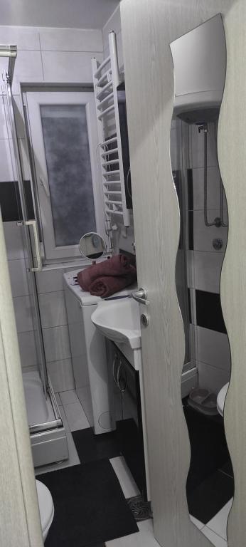 Koupelna v ubytování Divcibare As apartmani
