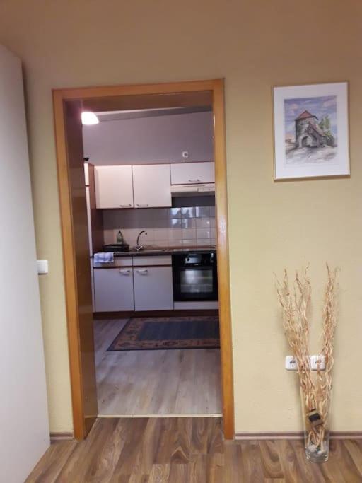 Kuchyň nebo kuchyňský kout v ubytování Ferienwohnung Aelit