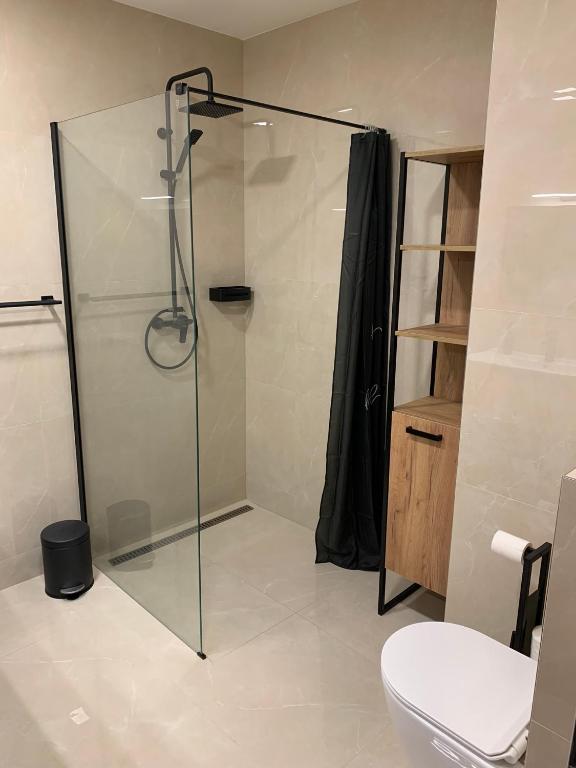 Koupelna v ubytování Apartmán v Krkonoších - Černý Důl