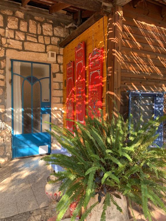 una casa con una planta delante de una puerta en בית האבן העתיק מ-1885 en Rosh Pinna