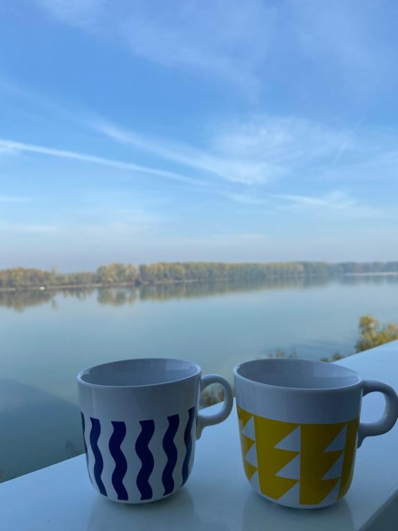 dwa kubki siedzące na stole z widokiem na wodę w obiekcie Danube w mieście Vukovar