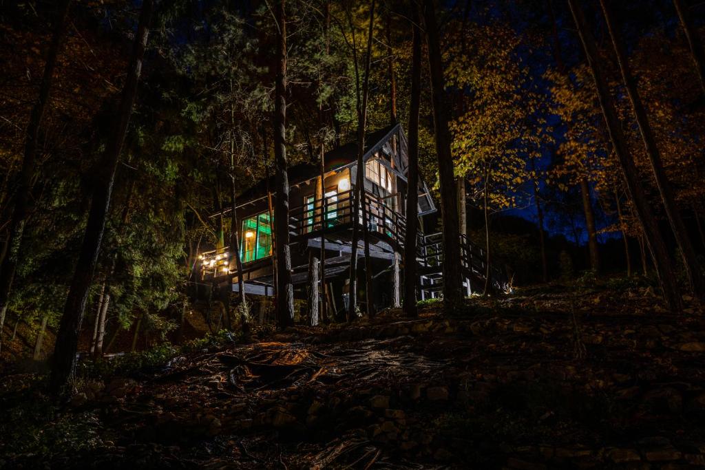 a tree house in the woods at night at Na Skraju Lasu Domek na Drzewie & Glamping in Kazimierz Dolny