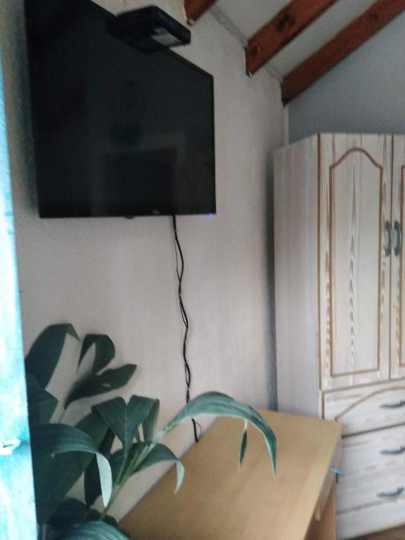 TV a/nebo společenská místnost v ubytování Cabañas Selva Negra
