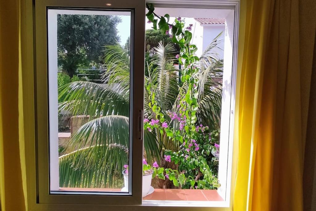 Zahrada ubytování VILLA VALENTINA