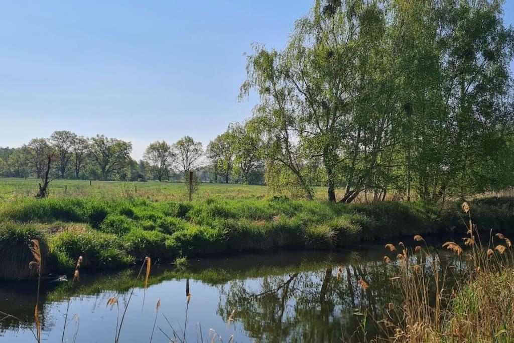 a river with trees and grass in a field at Kleine Auszeit in Trebbin