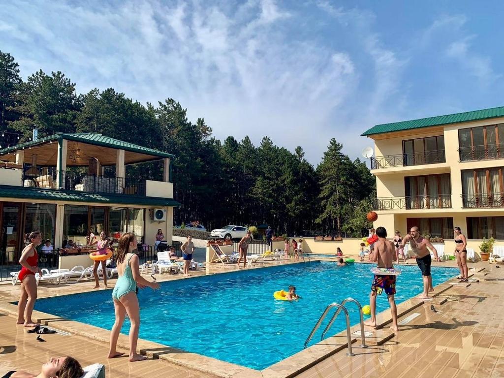 um grupo de pessoas brincando em uma piscina em Hotel Surami em Surami