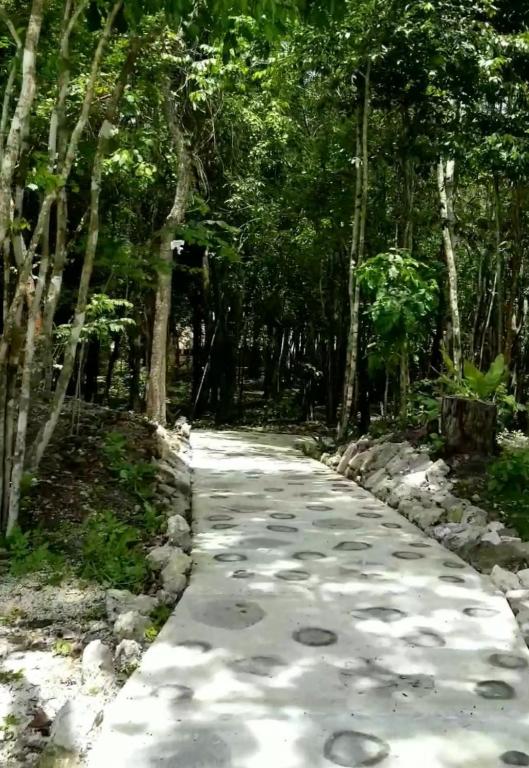 Fotografie z fotogalerie ubytování Hotel Cabañas Aldea Maya v destinaci Xpujil