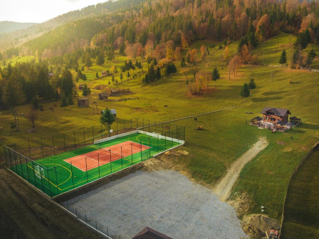 an aerial view of a tennis court in a field at Cabana TYF Dreptu - TYFTRAVEL SRL in Poiana Teiului