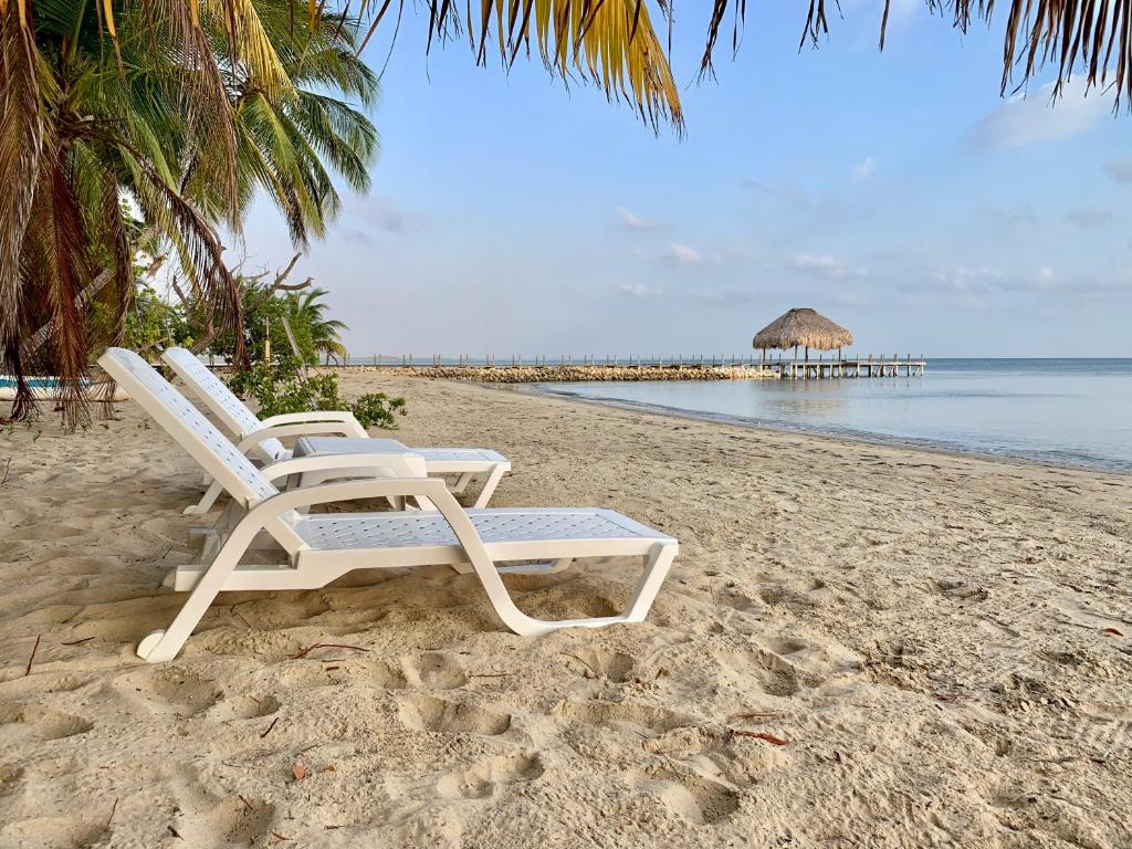 2 tumbonas en una playa con una cabaña en Casita Caribe en reserva natural, playa privada, kayaks, wifi, aire acondicionado, en San Onofre