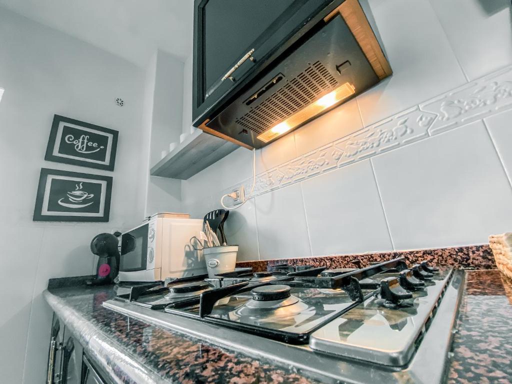 Kuchyň nebo kuchyňský kout v ubytování APARTAMENTOS FERNANDO III EL SANTO