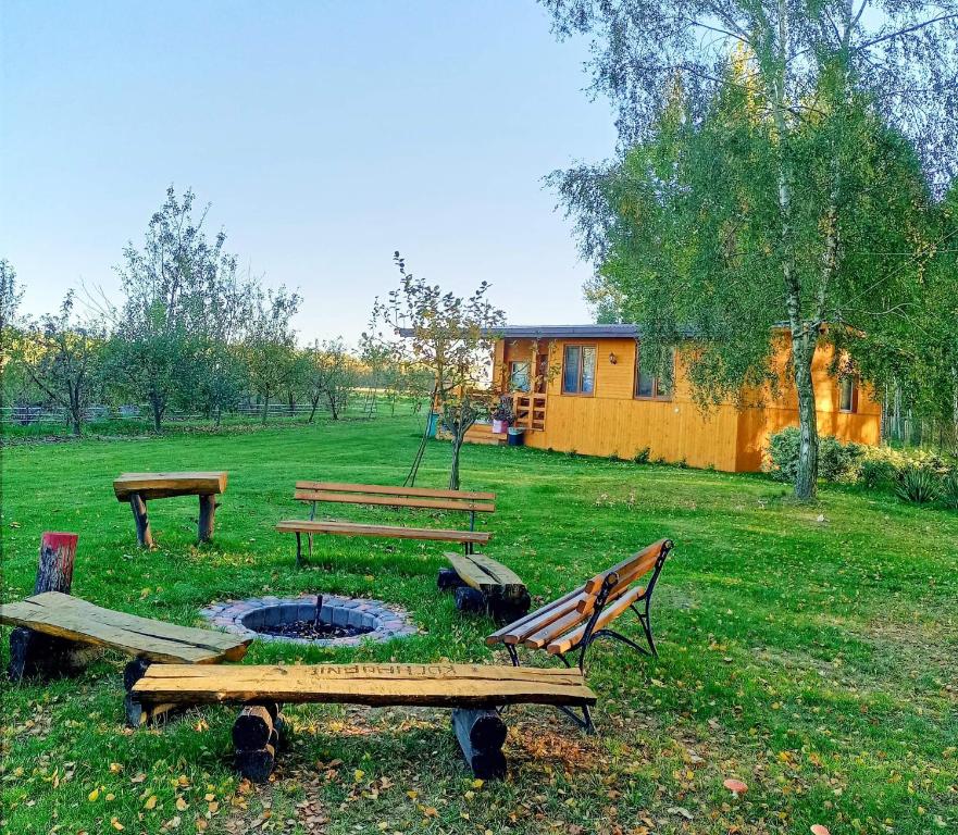 einen Park mit Bänken und einer Feuerstelle im Gras in der Unterkunft BRZOZOWY GAJ AGROTURYSTYKA in Bobryk