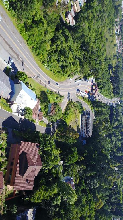 an overhead view of a road in a forest at Casa Xixo Escultura in Gramado