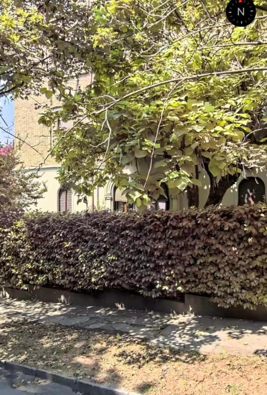 Vonkajšia záhrada v ubytovaní Loft Crimea con patio