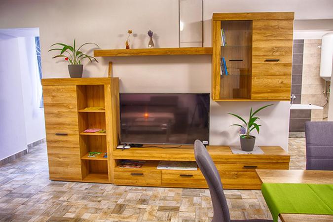 TV a/nebo společenská místnost v ubytování Ubytování na statku