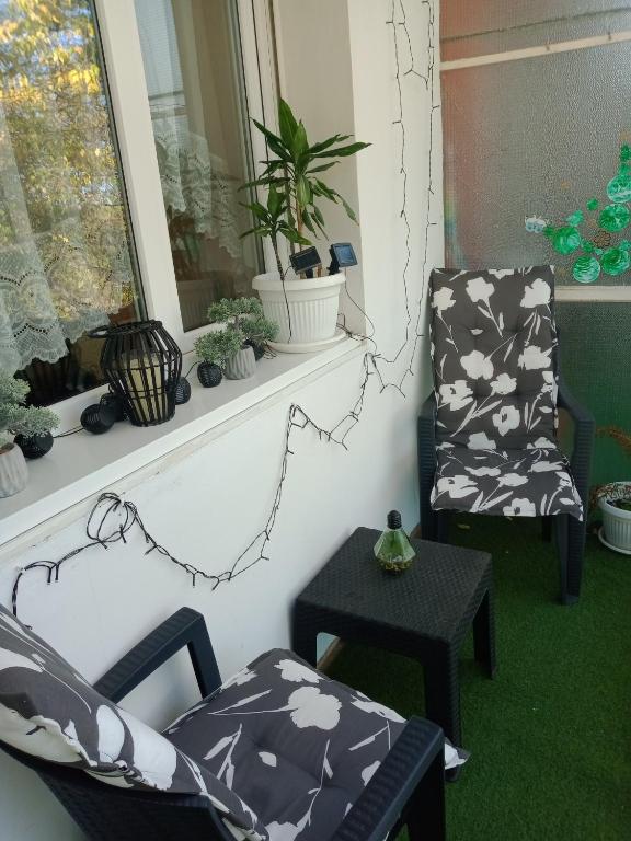 Posezení v ubytování Apartman Hakuna Matata