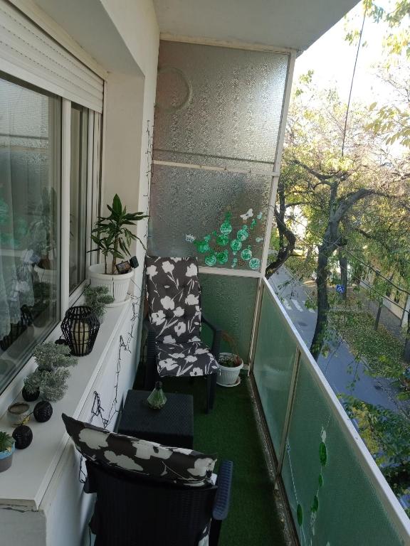 Fotografie z fotogalerie ubytování Apartman Hakuna Matata v destinaci Sombor