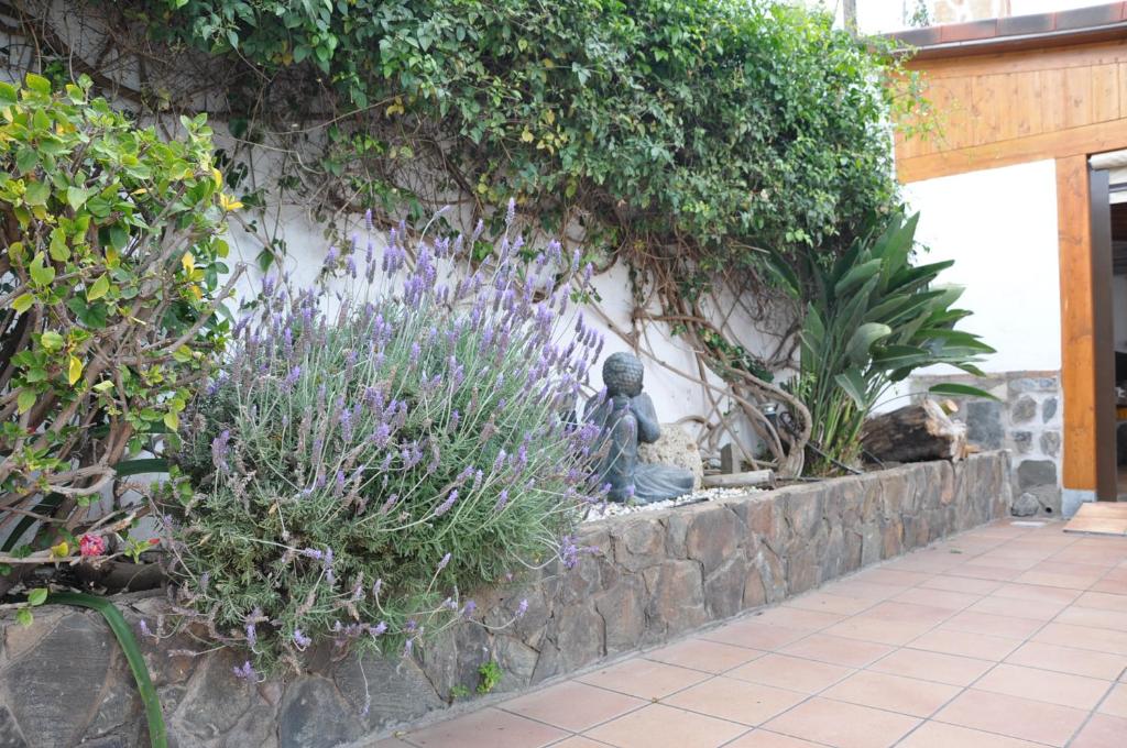 A garden outside Bonita casa cálida para el relax con wifi