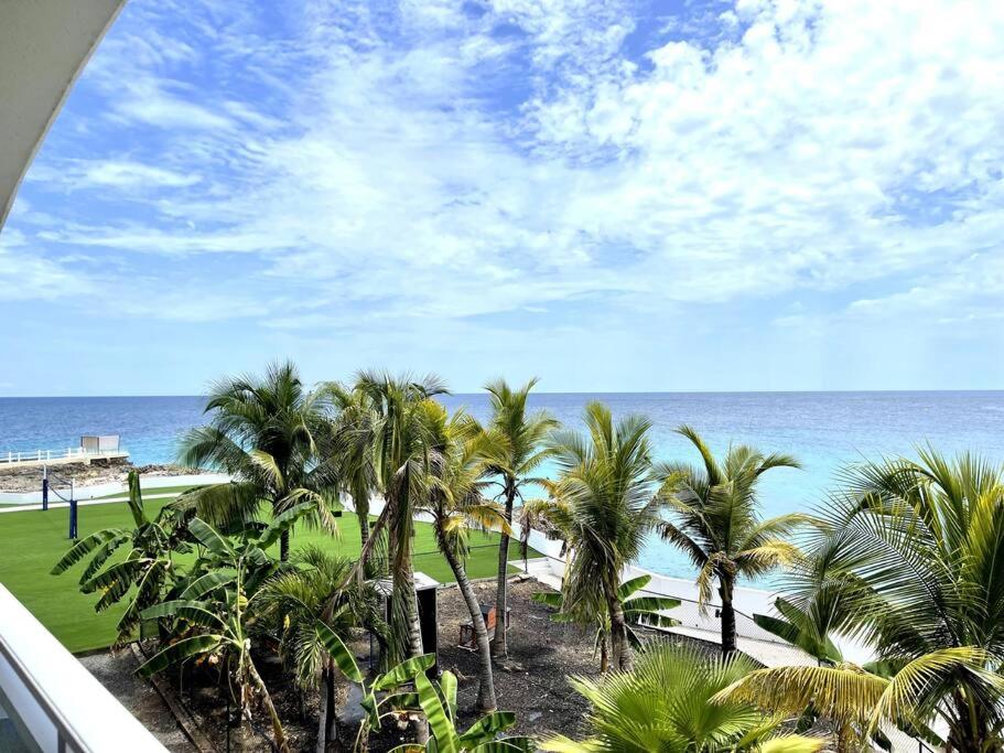 マホ・ベイにあるSand Bar Condo - 1BR Suite next to The Morgan Resortのヤシの木と海の景色を望む