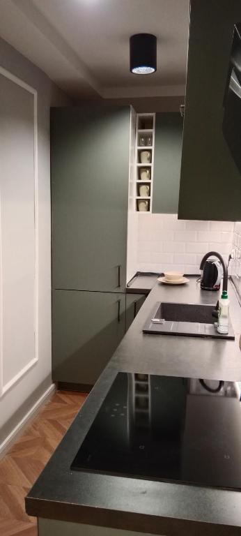 Kuchyňa alebo kuchynka v ubytovaní Tabago Studio 4 Katowice Superjednostka