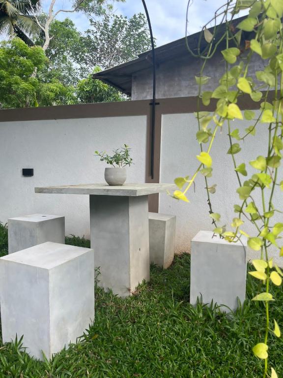 Zahrada ubytování Ceylonima Home Stay