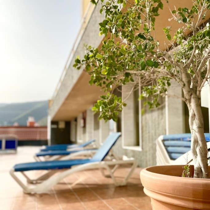 a group of lounge chairs and a tree on a building at The best Views - La Gomera in San Sebastián de la Gomera